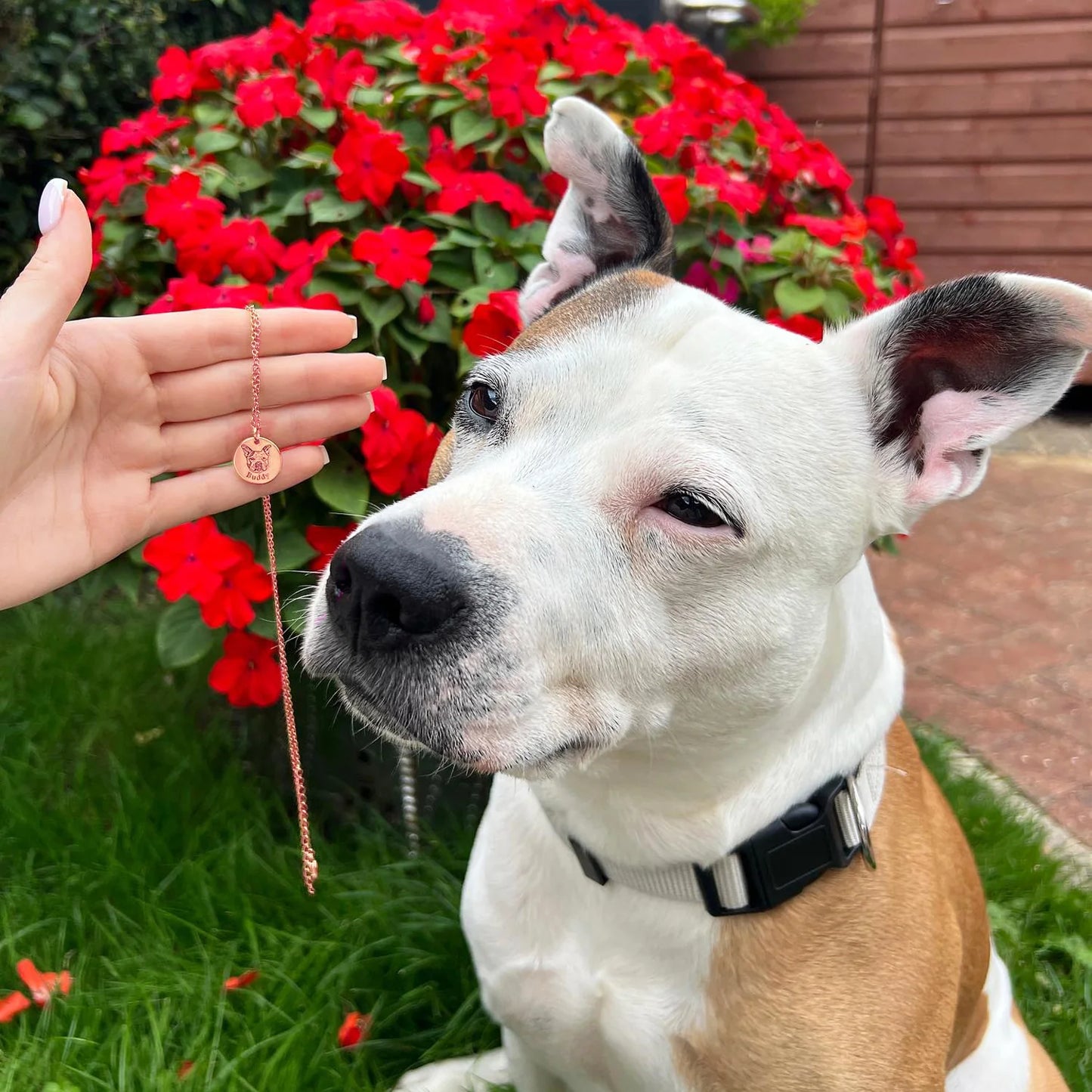 Colier personalizat cu chipul animalului